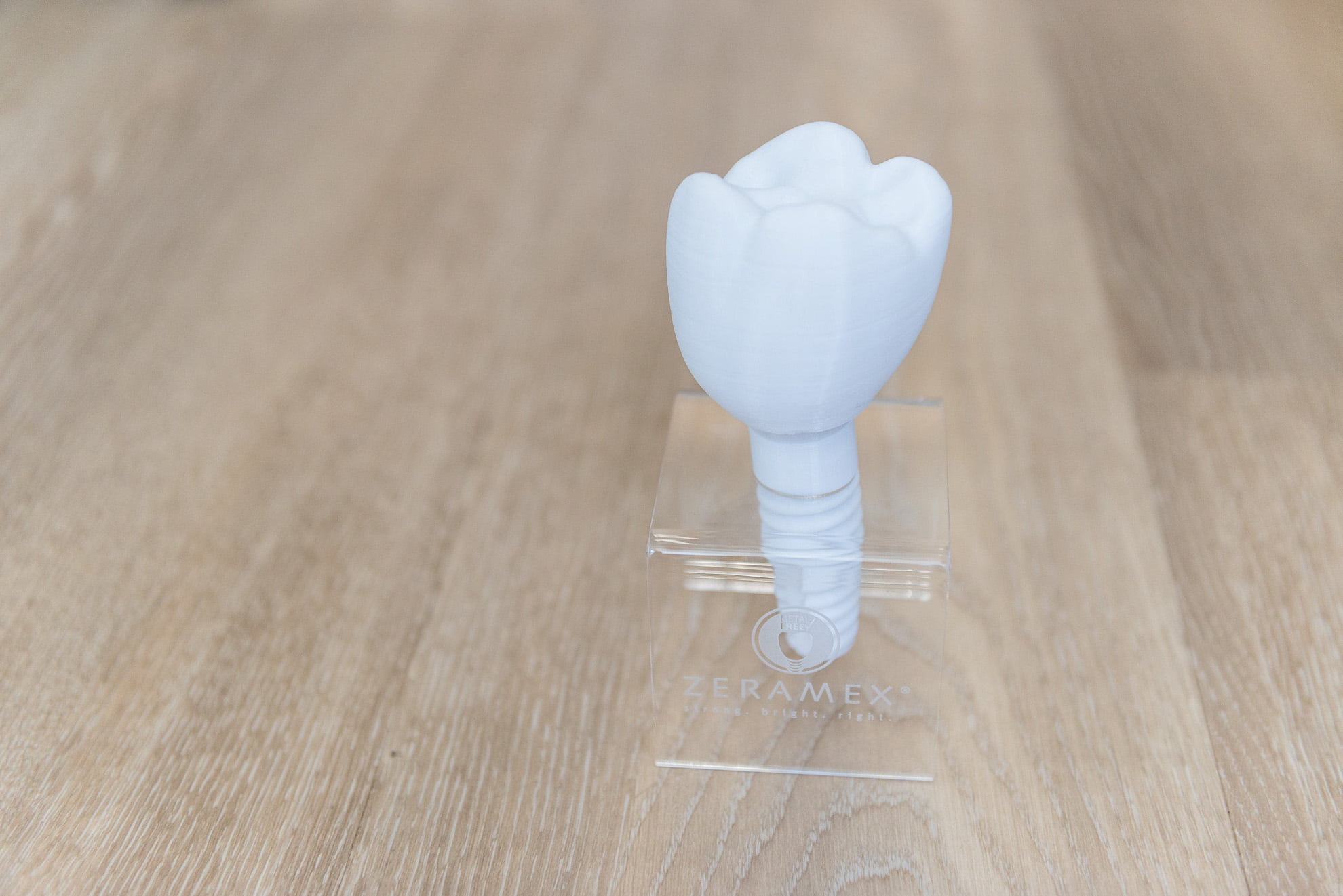 Zirconia Dental Implant Model